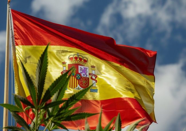 How to open a cannabis club in Spain